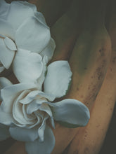 Load image into Gallery viewer, Banana Dream. solid enfleurage perfume. fresh bananas, banana cream, banana whip, banana smoothie. February 2024