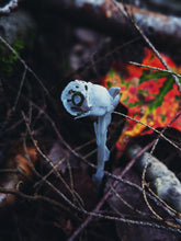 Load image into Gallery viewer, Ghost Flower. solid perfume with in house extract of wild fresh monotropa uniflora, "ghost pipe," "ghost plant." Rare, limited quantity. December 2022