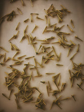 Load image into Gallery viewer, Cestrum Nocturnum Soliflore. Concentrated night-blooming jasmine natural perfume with in house C. nocturnum enfleurage and absolutes. Rare. Vernix on décolletage, a cherry dirge, honeysuckle nectar, dark sweet compote. October 2023