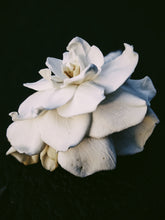 Load image into Gallery viewer, Caxixanath (Hidden Flower). natural perfume. Tuberose, gardenia, vanilla. April 2024