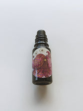 Load image into Gallery viewer, Octopus. natural perfume. kauai vetiver + petrichor. March 2023