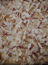 Load image into Gallery viewer, Jasminum Polyanthum Enfleurage - supercharged November 2023-February 2024. Pink or Winter Jasmine. Runs the gamut from fresh banana smoothie, to the vulgarity of cheerios, with a spontaneous sandalwood base note.