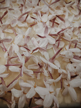 Load image into Gallery viewer, Jasminum Polyanthum Enfleurage - supercharged November 2023-February 2024. Pink or Winter Jasmine. Runs the gamut from fresh banana smoothie, to the vulgarity of cheerios, with a spontaneous sandalwood base note.