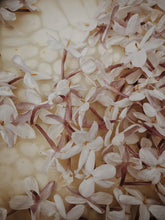 Load image into Gallery viewer, Jasminum Polyanthum Enfleurage - supercharged November 2023-February 2024. Pink or Winter Jasmine. Runs the gamut from fresh banana smoothie, to the vulgarity of cheerios, with a spontaneous sandalwood base note.