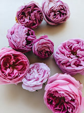 Load image into Gallery viewer, Rosichor. Vedic rose + petrichor natural perfume. April 2024