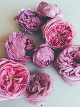 Load image into Gallery viewer, Rosichor. Vedic rose + petrichor natural perfume. April 2024