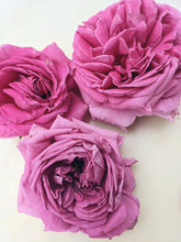Load image into Gallery viewer, Rose Red. natural perfume. moroccan rose's juicy petals with white sage dust. lapsang souchong smoke, naga resin, dominican sage. May 2023