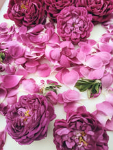Load image into Gallery viewer, Rose Red. natural perfume. moroccan rose's juicy petals with white sage dust. lapsang souchong smoke, naga resin, dominican sage. May 2023