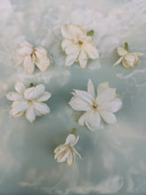 Load image into Gallery viewer, May Flower. Co-Enfleurage of Purple-Leaf Honeysuckle, Australian Wax Jasmine, Maid of Orleans Sambac Jasmine, and extremely fragrant Hybrid Tea Roses. May 2024