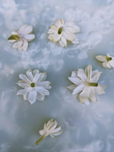 Load image into Gallery viewer, May Flower. Co-Enfleurage of Purple-Leaf Honeysuckle, Australian Wax Jasmine, Maid of Orleans Sambac Jasmine, and extremely fragrant Hybrid Tea Roses. May 2024