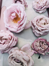 Load image into Gallery viewer, May Flower. Co-Enfleurage of Purple-Leaf Honeysuckle, Australian Wax Jasmine, Maid of Orleans Sambac Jasmine, and extremely fragrant Hybrid Tea Roses. May 2024