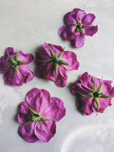 Load image into Gallery viewer, Satsuma Plum. natural perfume. Satsuma plum, Hinoki wood, Hiba cedar, Japanese rose, and Shimoyama First Flush Sencha tea. June 2024