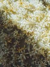 Load image into Gallery viewer, Star Jasmine Enfleurage.