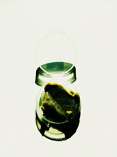 Load image into Gallery viewer, Wild Black Spruce Soliflore. Natural perfume from wild stands of Picea mariana in Vermont's taiga. August 2024