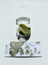 Load image into Gallery viewer, Milk Oolong Gardenia. enfleurage perfume. March 2025