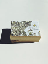 Load image into Gallery viewer, Gardenia and Civet Enfleurage.