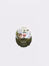 Load image into Gallery viewer, Rose Milk. enfleurage perfume. rosa centifolia, milk oolong, calamondin enfleurage, tahitian vanilla, mysore sandalwood, khadrawi dates. February 2022