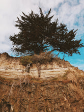 Load image into Gallery viewer, The Bluffs. natural perfume. minty, sweetgrass coastal scent. June 2025
