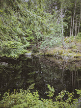 Load image into Gallery viewer, Hinoki Soliflore. natural perfume. single note Chamaecyparis obtusa perfume with in house and rare, aged hinoki extracts. September 2025