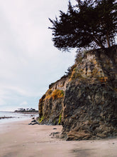 Load image into Gallery viewer, The Bluffs. natural perfume. minty, sweetgrass coastal scent. June 2025