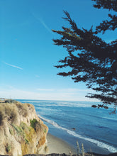 Load image into Gallery viewer, The Bluffs. natural perfume. minty, sweetgrass coastal scent. June 2025