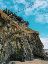 Load image into Gallery viewer, The Bluffs. natural perfume. minty, sweetgrass coastal scent. June 2025