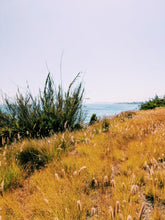 Load image into Gallery viewer, The Bluffs. natural perfume. minty, sweetgrass coastal scent. June 2025