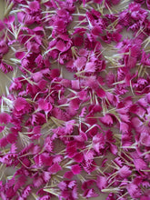 Load image into Gallery viewer, Carnation Enfleurage.