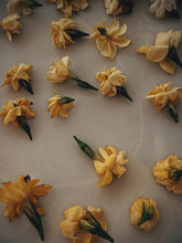 Load image into Gallery viewer, Gandhraj (May 2019). Aged Gardenia jasminoides Enfleurage Extrait. Organic gardenia perfume. Biodynamic