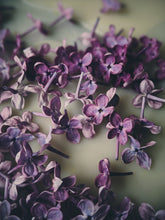 Load image into Gallery viewer, Lilac Enfleurage.