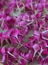 Load image into Gallery viewer, Carnation Enfleurage.