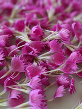 Load image into Gallery viewer, Carnation Enfleurage.