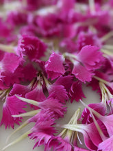 Load image into Gallery viewer, Carnation Enfleurage.