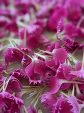 Load image into Gallery viewer, Carnation Enfleurage.