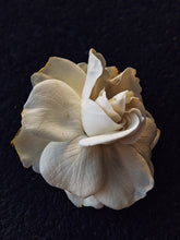 Load image into Gallery viewer, Gandhraj (July 2019). Aged Gardenia jasminoides Enfleurage Extrait. Organic gardenia perfume. Biodynamic