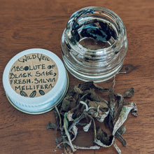 Load image into Gallery viewer, Sage Scrub. Natural perfume fixative. Homegrown white, baja, and black sages and chaparral.
