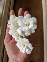 Load image into Gallery viewer, Gardenia and Australian Sandalwood Enfleurage