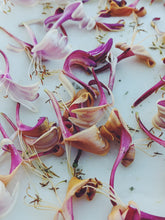 Load image into Gallery viewer, Suikazura (June-August 2020). Aged Pink and Yellow Honeysuckle Enfleurage Extrait. Organic honeysuckle perfume. Biodynamic