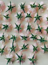 Load image into Gallery viewer, Kunja. Himalayan Musk Rose Soliflore. Single note Rosa brunonii perfume with musk rose enfleurage. June 2022