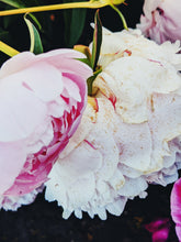 Load image into Gallery viewer, Peony Enfleurage July 2019, Central Vermont. Aged.