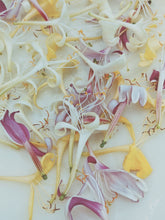 Load image into Gallery viewer, Suikazura (June-August 2020). Aged Pink and Yellow Honeysuckle Enfleurage Extrait. Organic honeysuckle perfume. Biodynamic