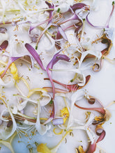 Load image into Gallery viewer, Suikazura (June-August 2020). Aged Pink and Yellow Honeysuckle Enfleurage Extrait. Organic honeysuckle perfume. Biodynamic