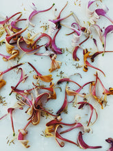 Load image into Gallery viewer, Suikazura (June-August 2020). Aged Pink and Yellow Honeysuckle Enfleurage Extrait. Organic honeysuckle perfume. Biodynamic