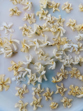 Load image into Gallery viewer, Scorpio ♏︎ enfleurage perfume. star jasmine enfleurage, civet, oak, cognac, clove. October 2023