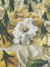 Load image into Gallery viewer, Gardenia Jasminoides Enfleurage.