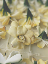 Load image into Gallery viewer, Gardenia Jasminoides Enfleurage.