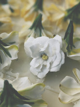 Load image into Gallery viewer, Gardenia Jasminoides Enfleurage.