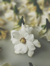Load image into Gallery viewer, Gardenia Jasminoides Enfleurage.