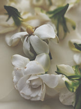 Load image into Gallery viewer, Gardenia and Australian Sandalwood Enfleurage