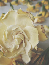 Load image into Gallery viewer, Gardenia and Australian Sandalwood Enfleurage